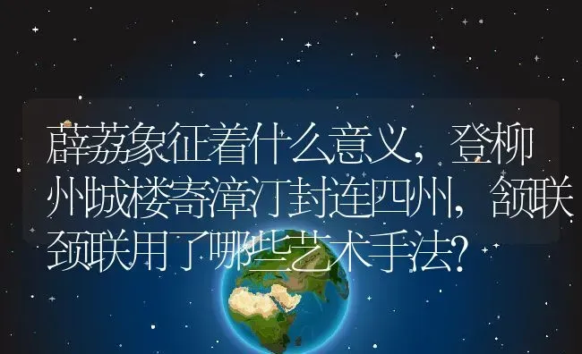 薜荔象征着什么意义,登柳州城楼寄漳汀封连四州,颔联颈联用了哪些艺术手法？ | 养殖常见问题