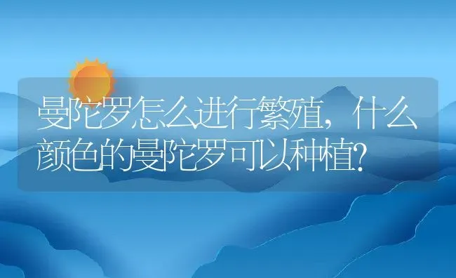 曼陀罗怎么进行繁殖,什么颜色的曼陀罗可以种植？ | 养殖常见问题