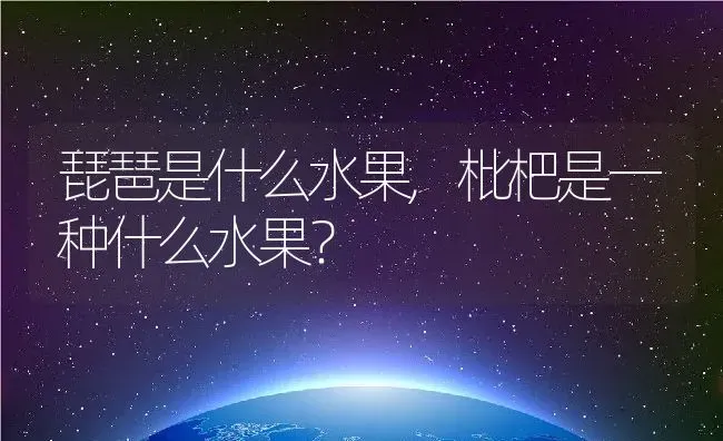 琵琶是什么水果,枇杷是一种什么水果？ | 养殖常见问题