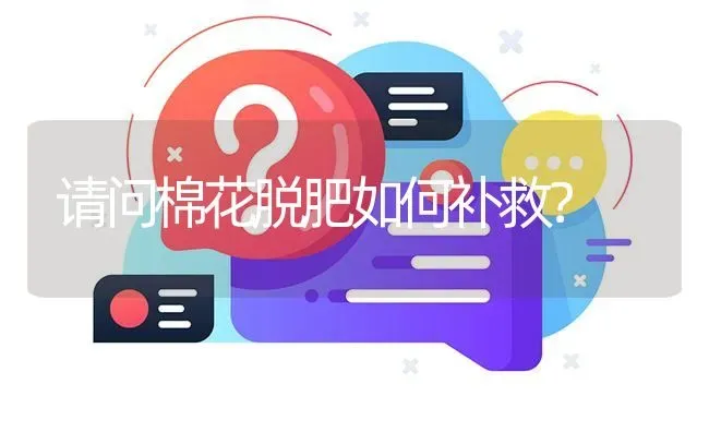 请问棉花脱肥如何补救? | 养殖问题解答