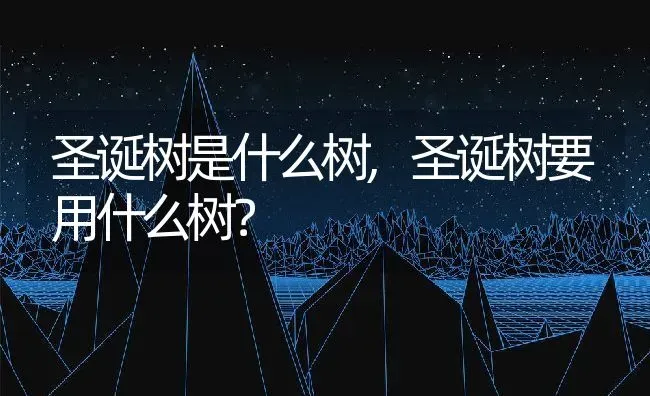 圣诞树是什么树,圣诞树要用什么树？ | 养殖常见问题