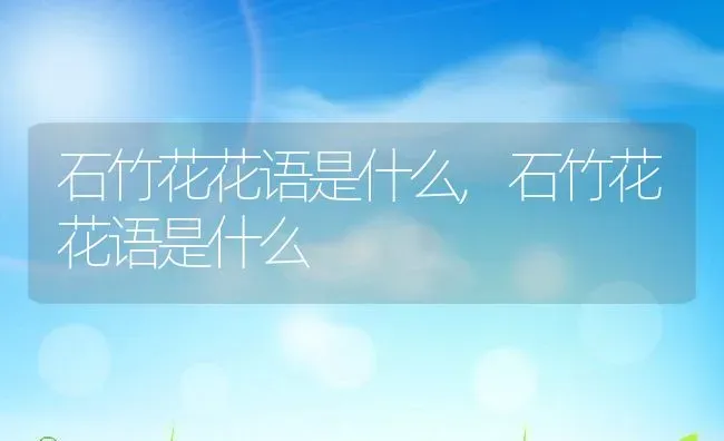 石竹花花语是什么,石竹花花语是什么 | 养殖常见问题