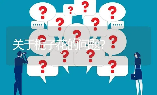 关于栀子花的问题? | 养殖问题解答