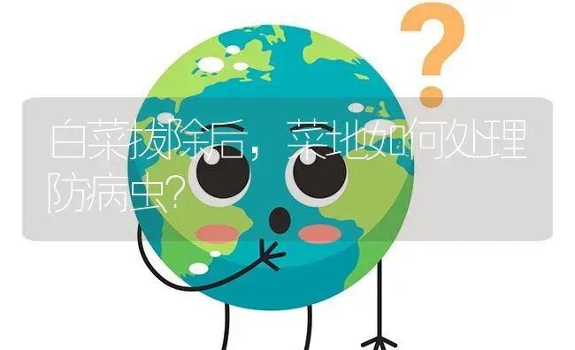 白菜拔除后,菜地如何处理防病虫? | 养殖问题解答