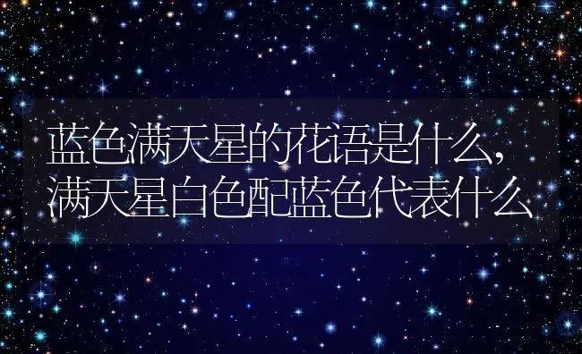 蓝色满天星的花语是什么,满天星白色配蓝色代表什么 | 养殖常见问题