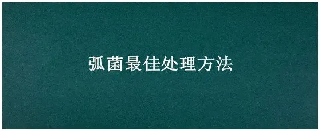 弧菌最佳处理方法 | 农业常识
