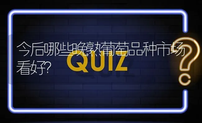 今后哪些晚熟葡萄品种市场看好? | 养殖问题解答