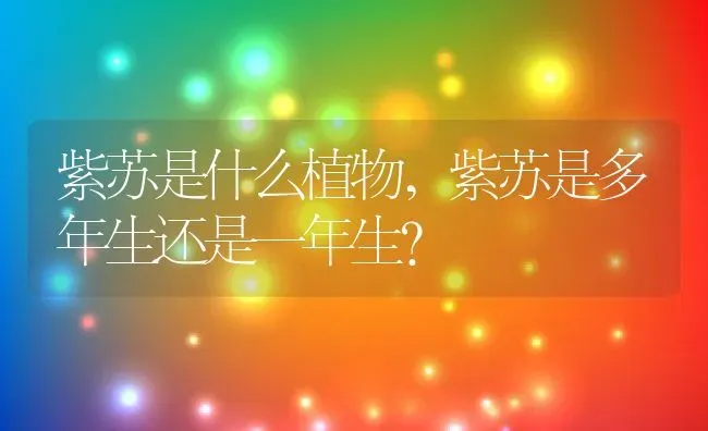 紫苏是什么植物,紫苏是多年生还是一年生？ | 养殖常见问题