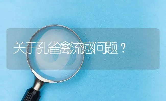 关于孔雀禽流感问题? | 养殖问题解答