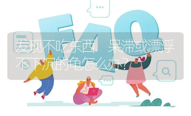 发现不吃东西.呆滞或漂浮不下沉的龟怎么办? | 养殖问题解答