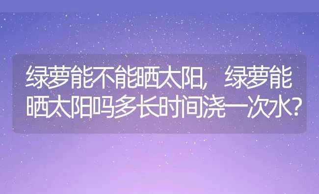 绿萝能不能晒太阳,绿萝能晒太阳吗多长时间浇一次水？ | 养殖常见问题