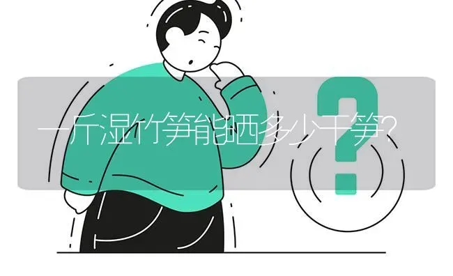 一斤湿竹笋能晒多少干笋? | 养殖问题解答