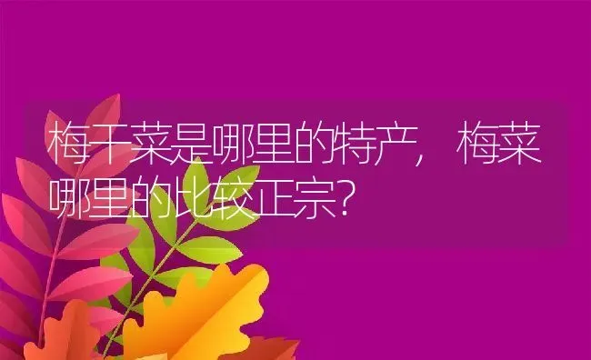 梅干菜是哪里的特产,梅菜哪里的比较正宗？ | 养殖常见问题