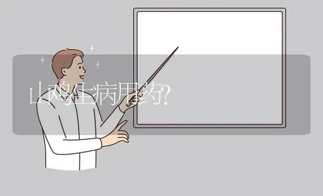 山鸡生病用药? | 养殖问题解答