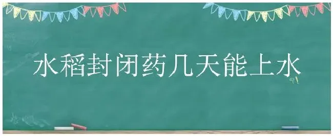 水稻封闭药几天能上水 | 科普知识