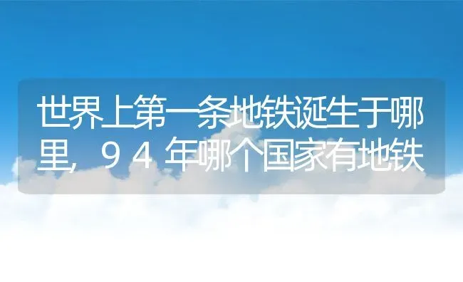 世界上第一条地铁诞生于哪里,94年哪个国家有地铁 | 养殖常见问题