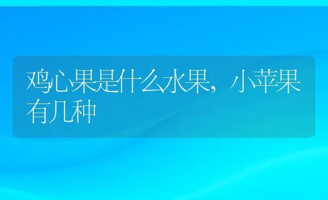 鸡心果是什么水果,小苹果有几种 | 养殖常见问题