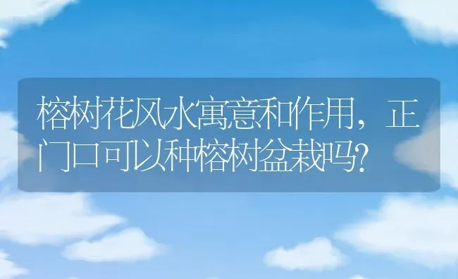 榕树花风水寓意和作用,正门口可以种榕树盆栽吗？ | 养殖常见问题