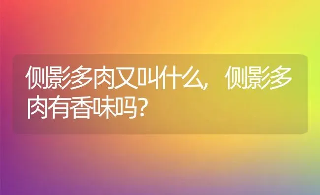 侧影多肉又叫什么,侧影多肉有香味吗？ | 养殖常见问题
