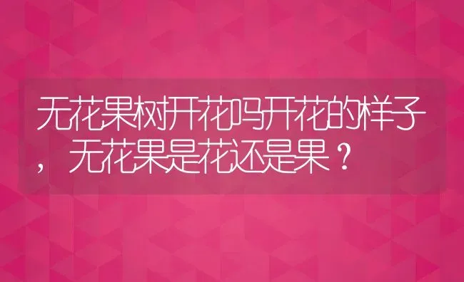 无花果树开花吗开花的样子,无花果是花还是果？ | 养殖常见问题