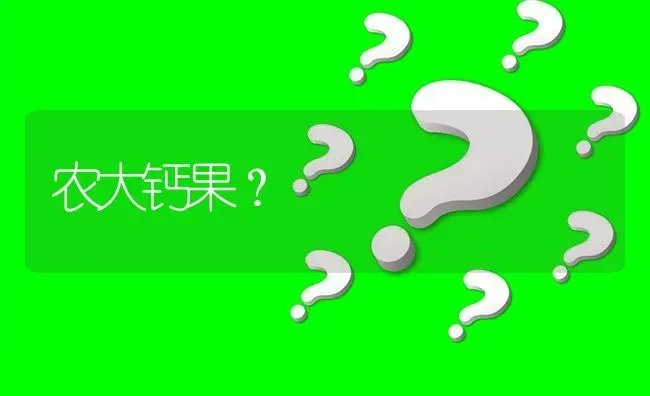 农大钙果? | 养殖问题解答