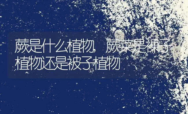 历史上晋朝先是西晋还是东晋,历史上晋朝先是西晋还是东晋 | 养殖常见问题