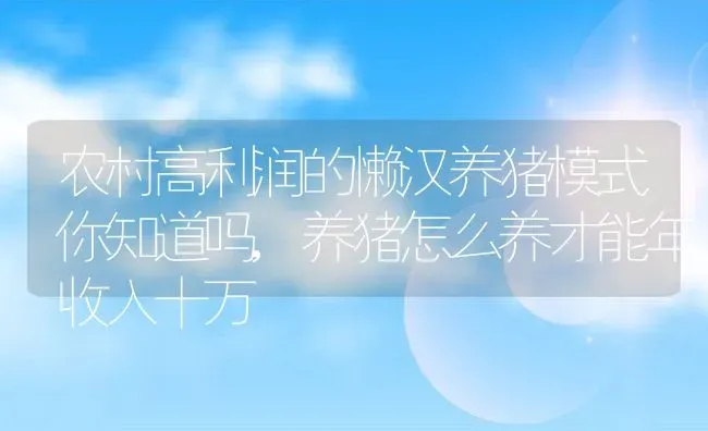 农村高利润的懒汉养猪模式你知道吗,养猪怎么养才能年收入十万 | 养殖常见问题