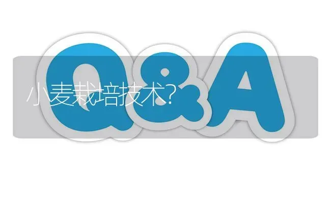 小麦栽培技术? | 养殖问题解答