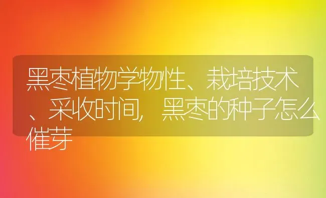 黑枣植物学物性、栽培技术、采收时间,黑枣的种子怎么催芽 | 养殖常见问题