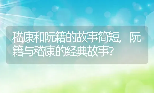 嵇康和阮籍的故事简短,阮籍与嵇康的经典故事？ | 养殖常见问题