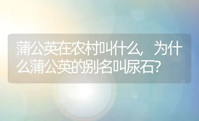 蒲公英在农村叫什么,为什么蒲公英的别名叫尿石？ | 养殖常见问题