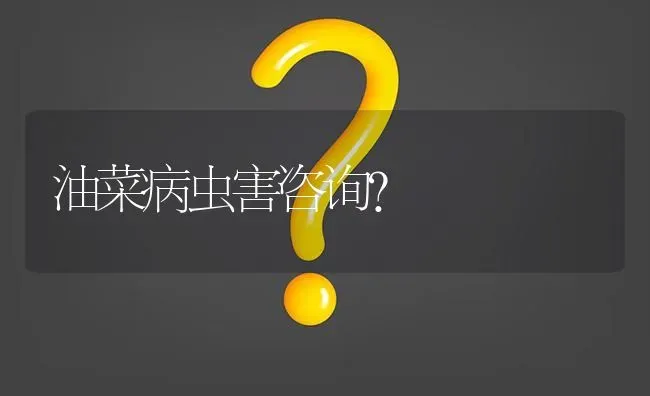 油菜病虫害咨询? | 养殖问题解答