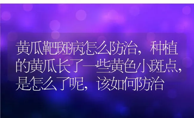 黄瓜靶斑病怎么防治,种植的黄瓜长了一些黄色小斑点，是怎么了呢，该如何防治 | 养殖常见问题