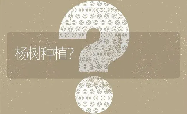 杨树种植? | 养殖问题解答