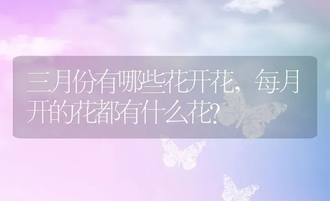 三月份有哪些花开花,每月开的花都有什么花？ | 养殖常见问题