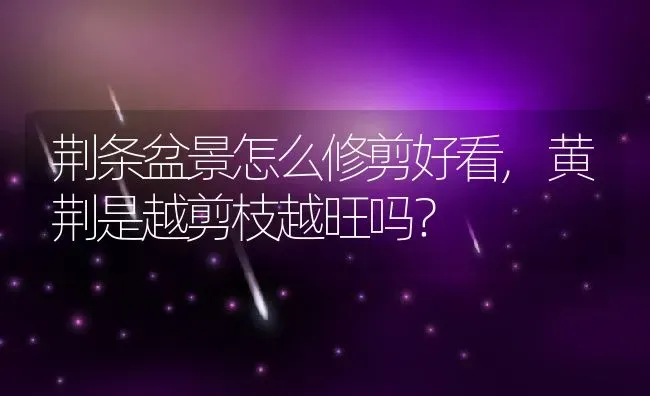 荆条盆景怎么修剪好看,黄荆是越剪枝越旺吗？ | 养殖常见问题