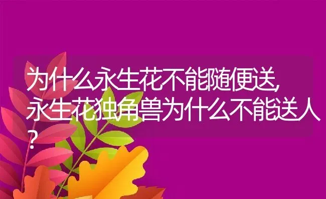 为什么永生花不能随便送,永生花独角兽为什么不能送人？ | 养殖常见问题