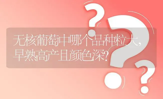 无核葡萄中哪个品种粒大,早熟高产且颜色深? | 养殖问题解答