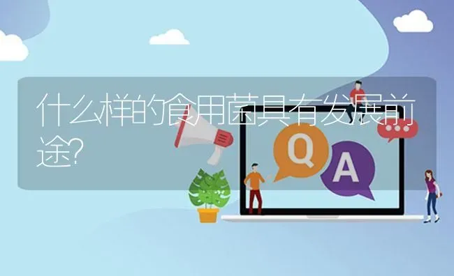 什么样的食用菌具有发展前途? | 养殖问题解答