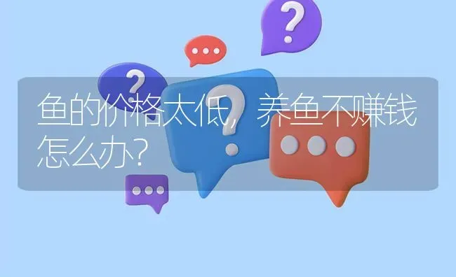 鱼的价格太低,养鱼不赚钱怎么办? | 养殖问题解答