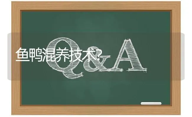 鱼鸭混养技术? | 养殖问题解答