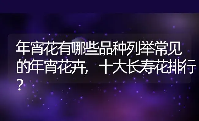 年宵花有哪些品种列举常见的年宵花卉,十大长寿花排行？ | 养殖常见问题