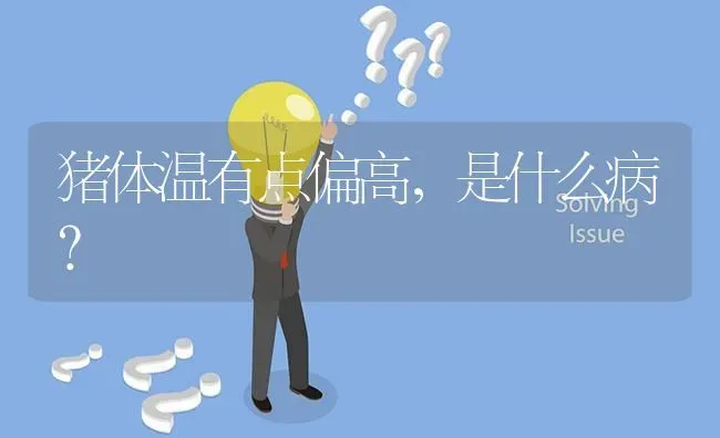 猪体温有点偏高,是什么病? | 养殖问题解答