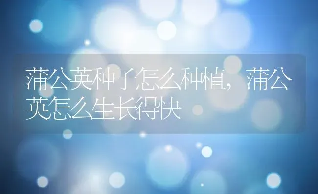 蒲公英种子怎么种植,蒲公英怎么生长得快 | 养殖常见问题