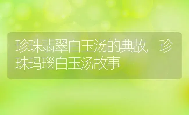 珍珠翡翠白玉汤的典故,珍珠玛瑙白玉汤故事 | 养殖常见问题