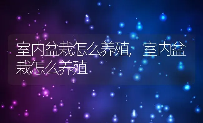 室内盆栽怎么养殖,室内盆栽怎么养殖 | 养殖常见问题