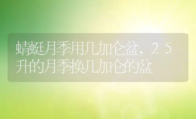 蜻蜓月季用几加仑盆,25升的月季换几加仑的盆 | 养殖常见问题