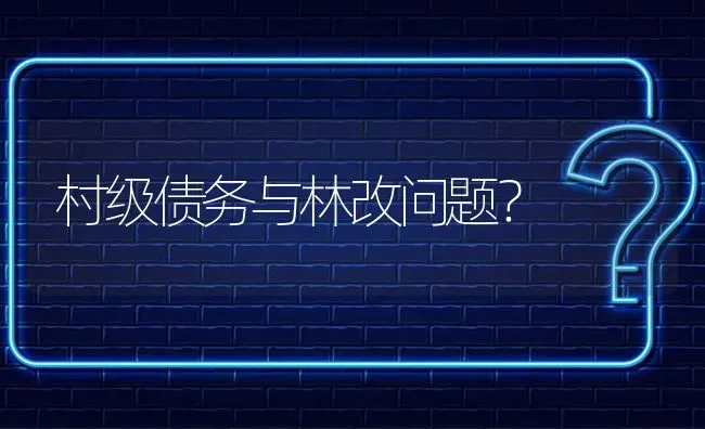 村级债务与林改问题? | 养殖问题解答