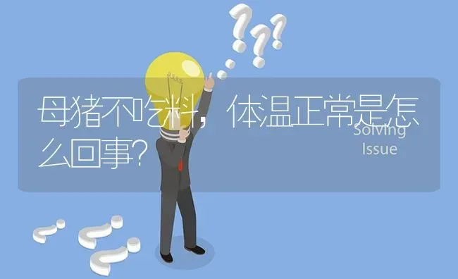 母猪不吃料,体温正常是怎么回事? | 养殖问题解答