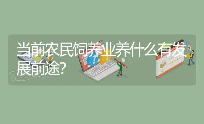 当前农民饲养业养什么有发展前途? | 养殖问题解答